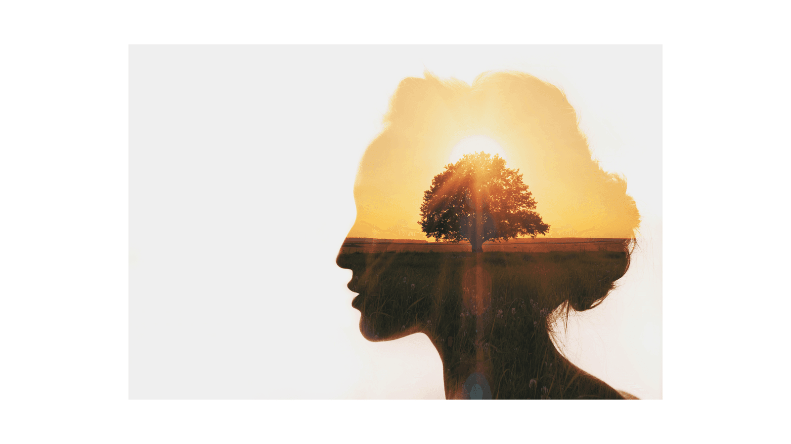 Level Up in 2026: Essential Reads for Personal Growth