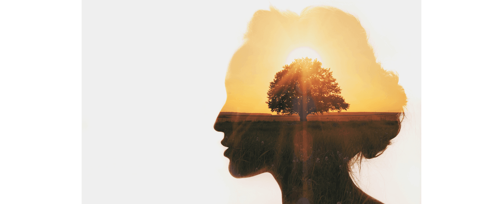Level Up in 2023: Essential Reads for Personal Growth